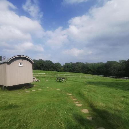 Molly Dishwasher Shepherds Hut Frant Екстериор снимка